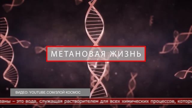 18.02.2025 Интересные факты. 5 внеземных форм жизни, возможных с научной точки зрения