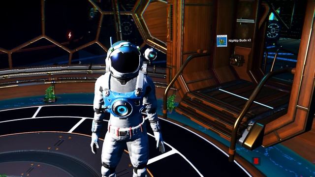 No Man's Sky Beyond Nip Bud Salvage Operation