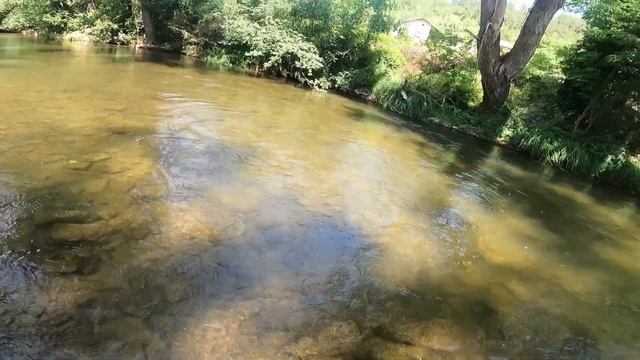 Мухарски риболов на река Струма / Fly fishing on the Struma River