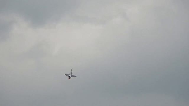 Large RC Jet Baja J-10 Turbine Driven With Vector Thrust Shows Amazing Flight Maneuvers