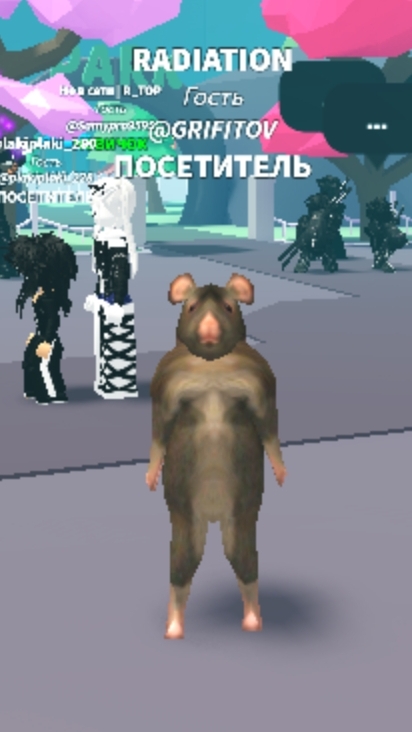 КРЫСИНЫЙ ТАНЕЦ 💃 2