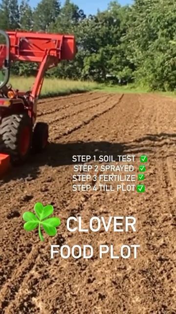 DEER FOOD PLOT - What’s your favorite CLOVER seed ? #deercamera #wildturkeys #trailcam