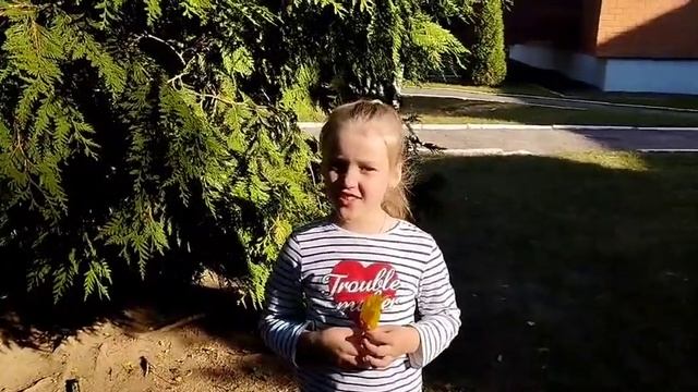 Между ёлок, между сосен осторожно бродит осень