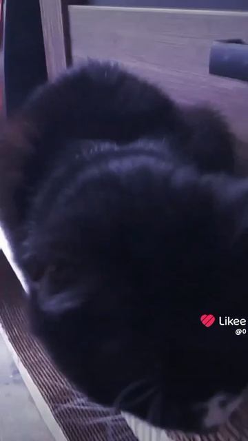1000009969.mp4