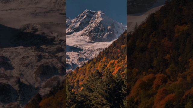 Испытание любовью