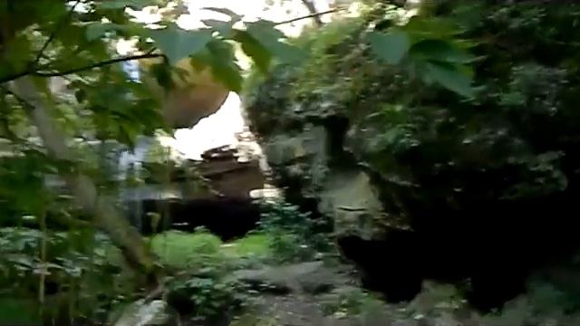 2013 08 07 ЦИПОВО