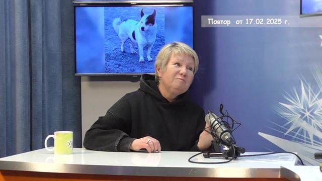 2025_02_17_ДОБРЫЙ ВЕЧЕР