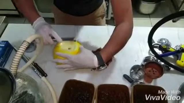 Приготовление кальяна в дыне нашем мастером Мешяди