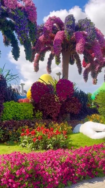 spring#flowers#scenery#nature#short
