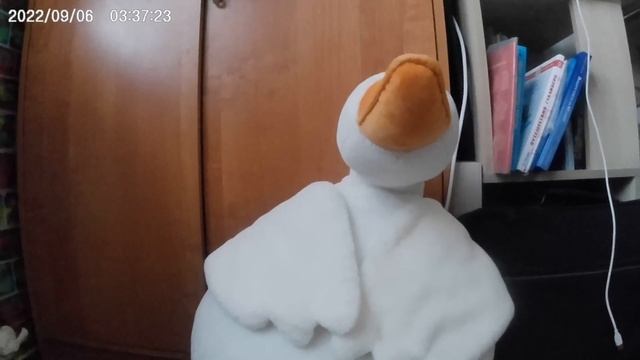 c днем пельменей!