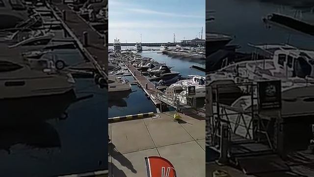 Sochi-2019