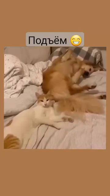 1000074053.mp4