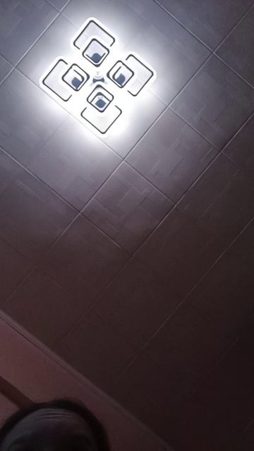 scene_output.mp4