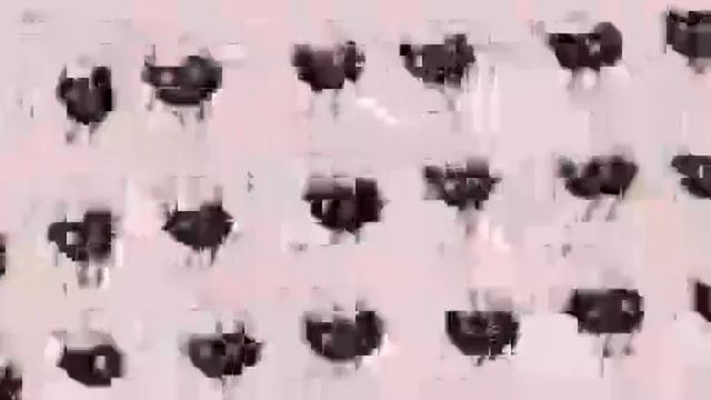 СУШИ МАНГА НО МАША ШИЗАНУЛАСЬ