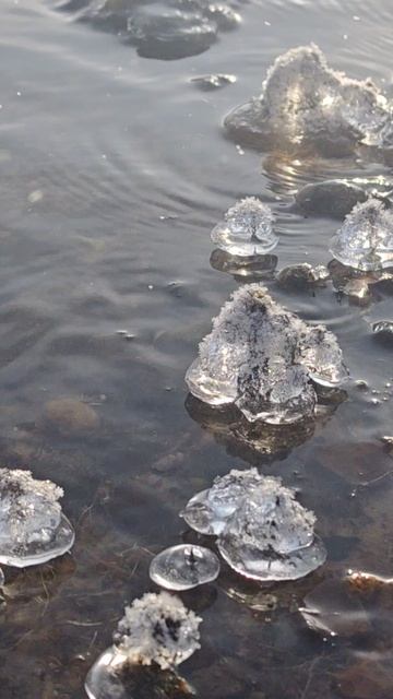 На десногорском водохранилище.