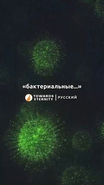 Существование произведения искусства доказывает, что есть художник, который его создал. 🌿 #shorts