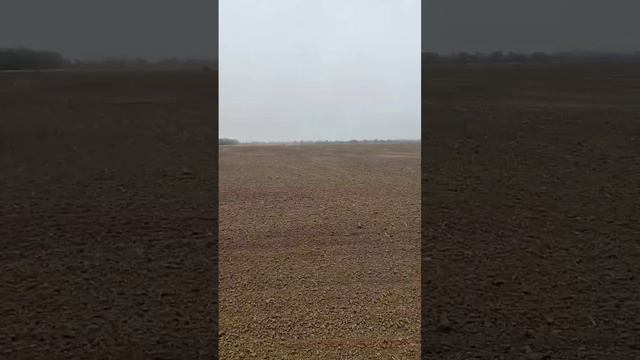 19 Октября | СЕЕМ ОЗИМУЮ ПШЕНИЦУ