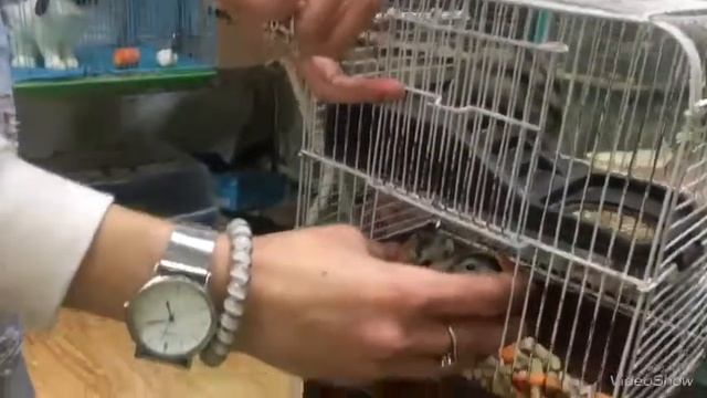 Новый Ребёноку у нас 🤔? VLOG /:::