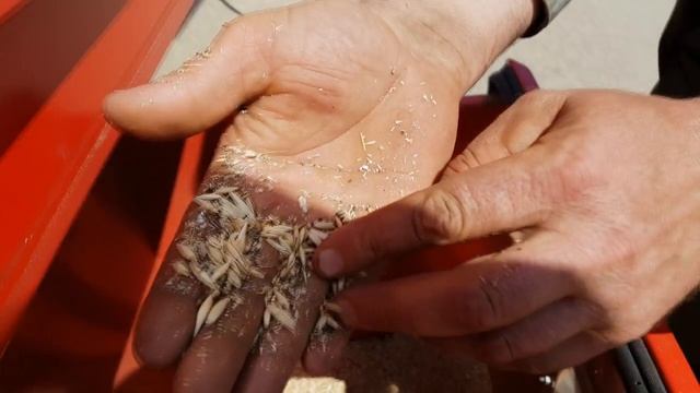 Зерноочиститель ПЗК-100 "Мамонт" в работе. Челябинская область, Брединский район, с. Андреевка.