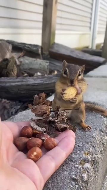 Взаимовыгодный обмен😁Отличного всем аппетита!🥰🥰🥰