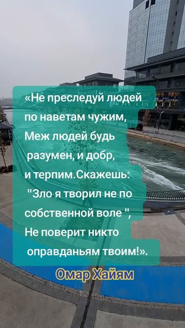 Мудрые слова