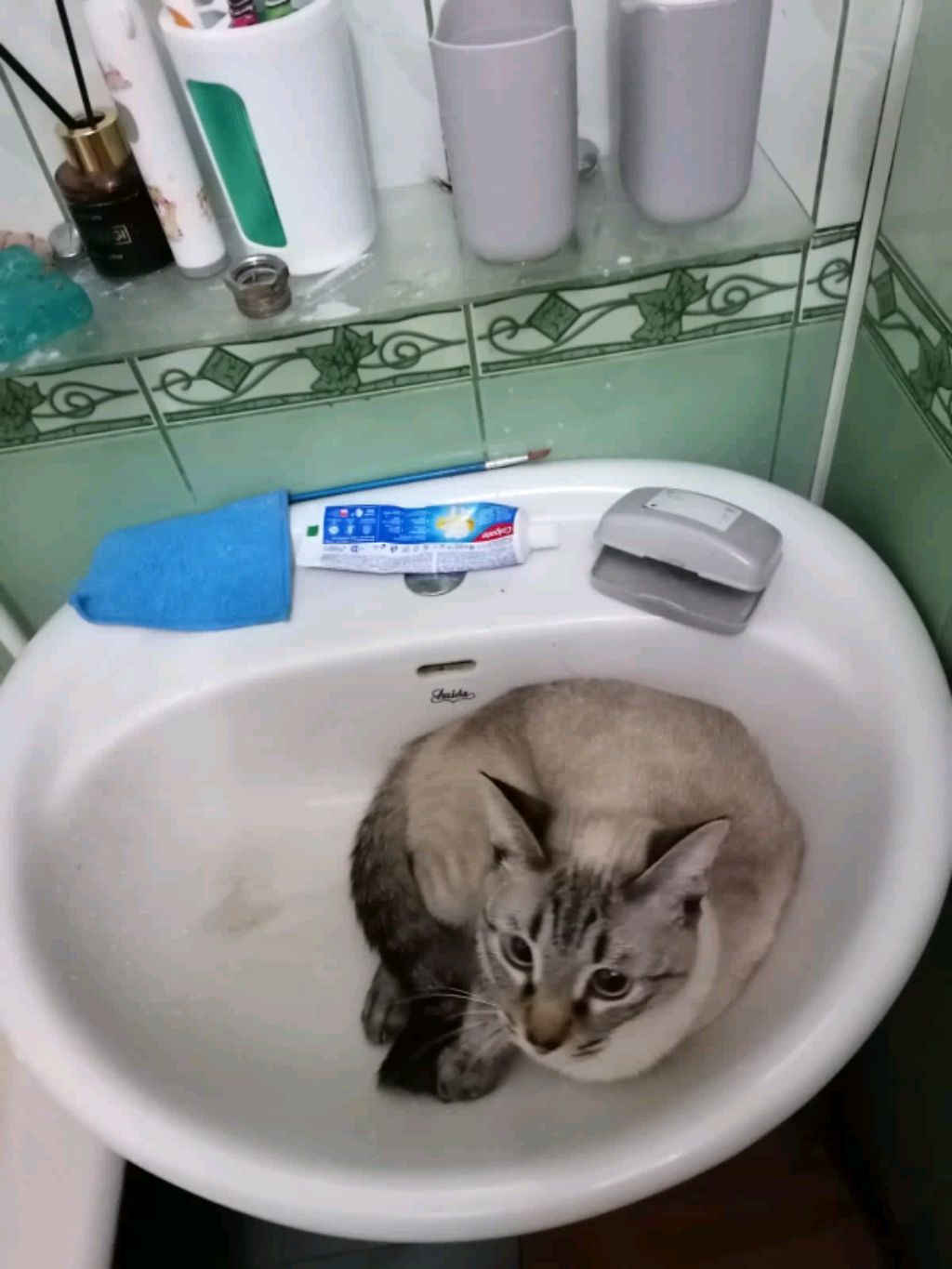 учим стих где обеда воробей