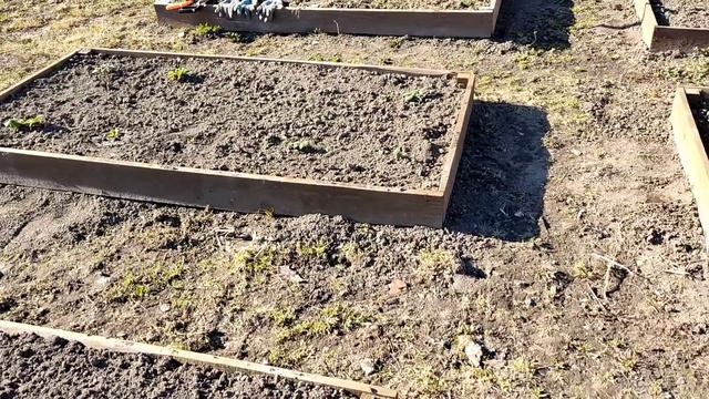 Апрельская обработка клубники 🍓 земляники