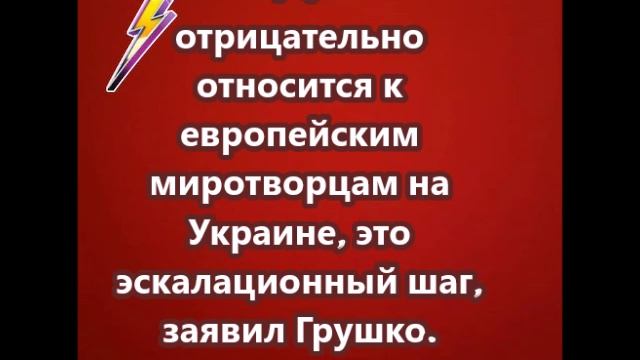 РФ отрицательно относится к европейским миротворцам на Украине