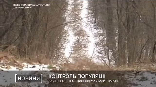 На Дніпропетровщині підрахували тварин