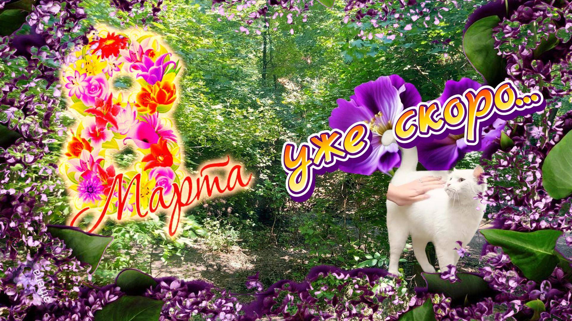 8 марта ждёт вас здесь! Отличное место для встречи Весны в Ростове-на-Дону.