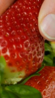 A powerful way to improve your health.