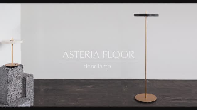 Светодиодный торшер Asteria Floor Lamp