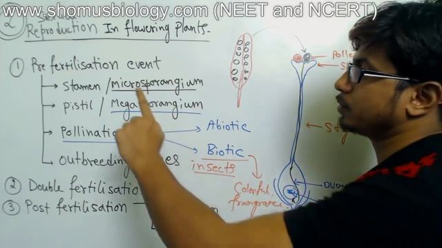 Pollination in flowering plants class 12 NCERT | reproduction in flowering plants for NEET