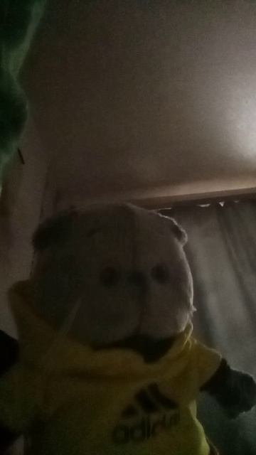 психушка