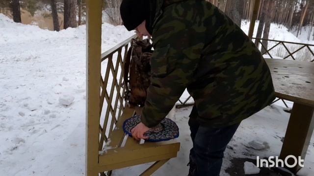 Февраль 2025 Гилевская роща.
