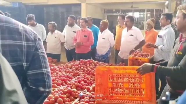 22-03-24 Madanapalle Tomato Market price Today || Today Tomato Market Rate in Madanapalle #today