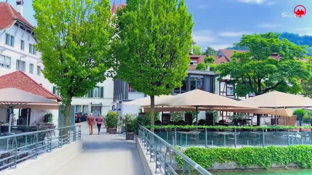 Летняя прогулка по швейцарскому городу Тун, Швейцария 🇨🇭 Озеро Тун