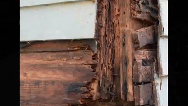 #1 San Pedro Wood Repair call Shafran 310-295-1960