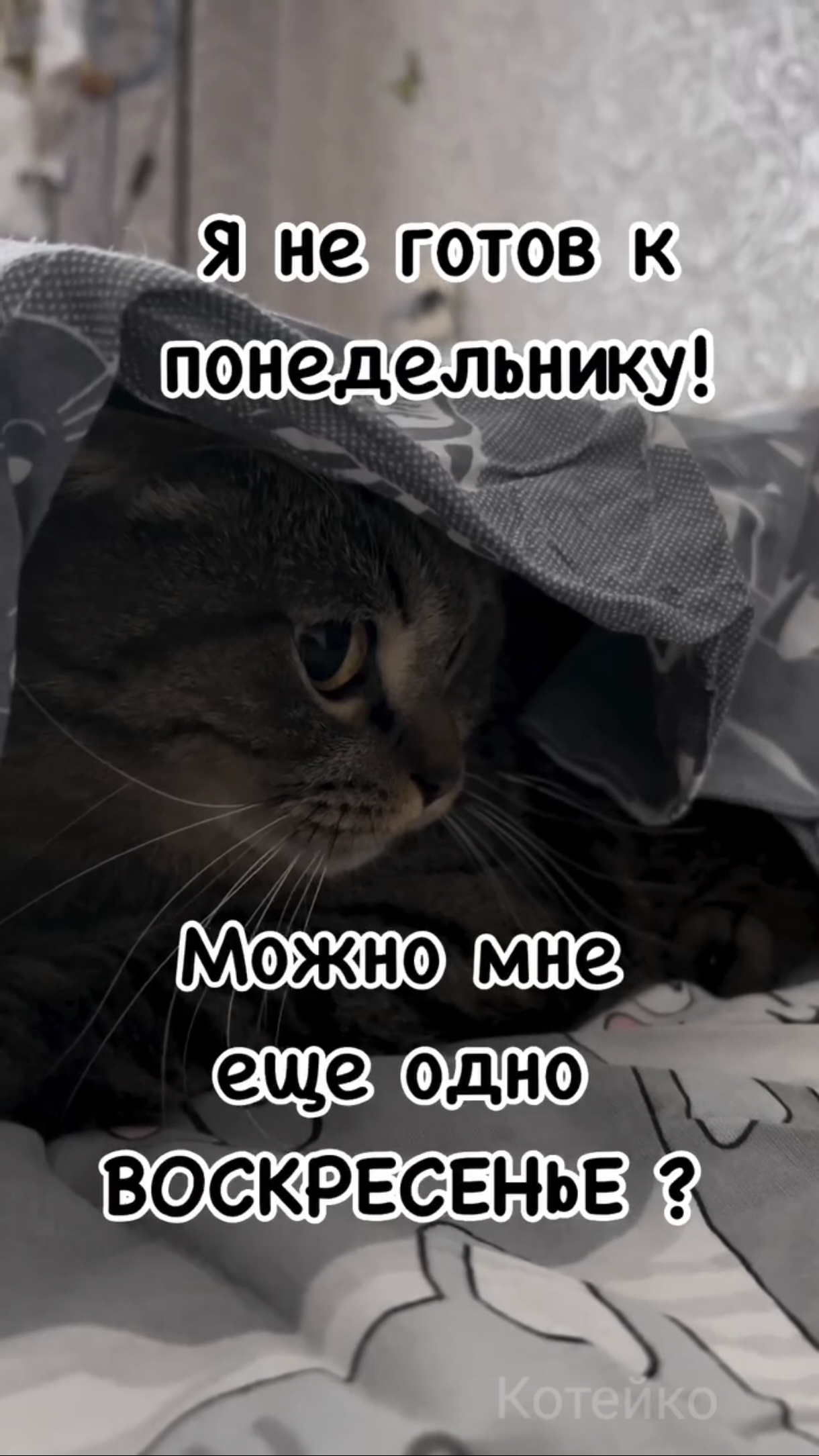 А вы готовы к понедельнику?
