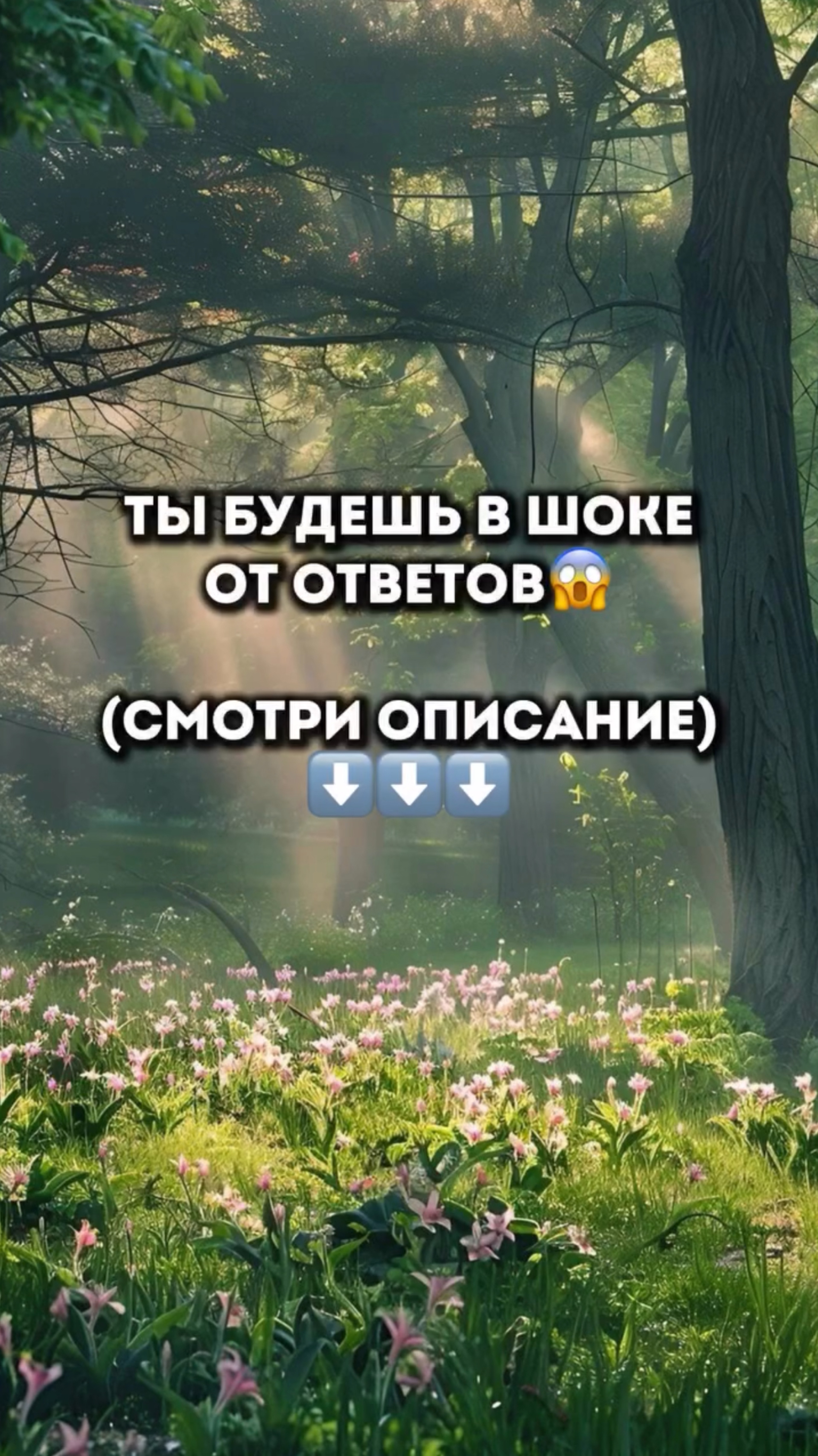 Тест раскрывает глубокое осознание ваших отношений с отцом и вашего внутреннего состояния.