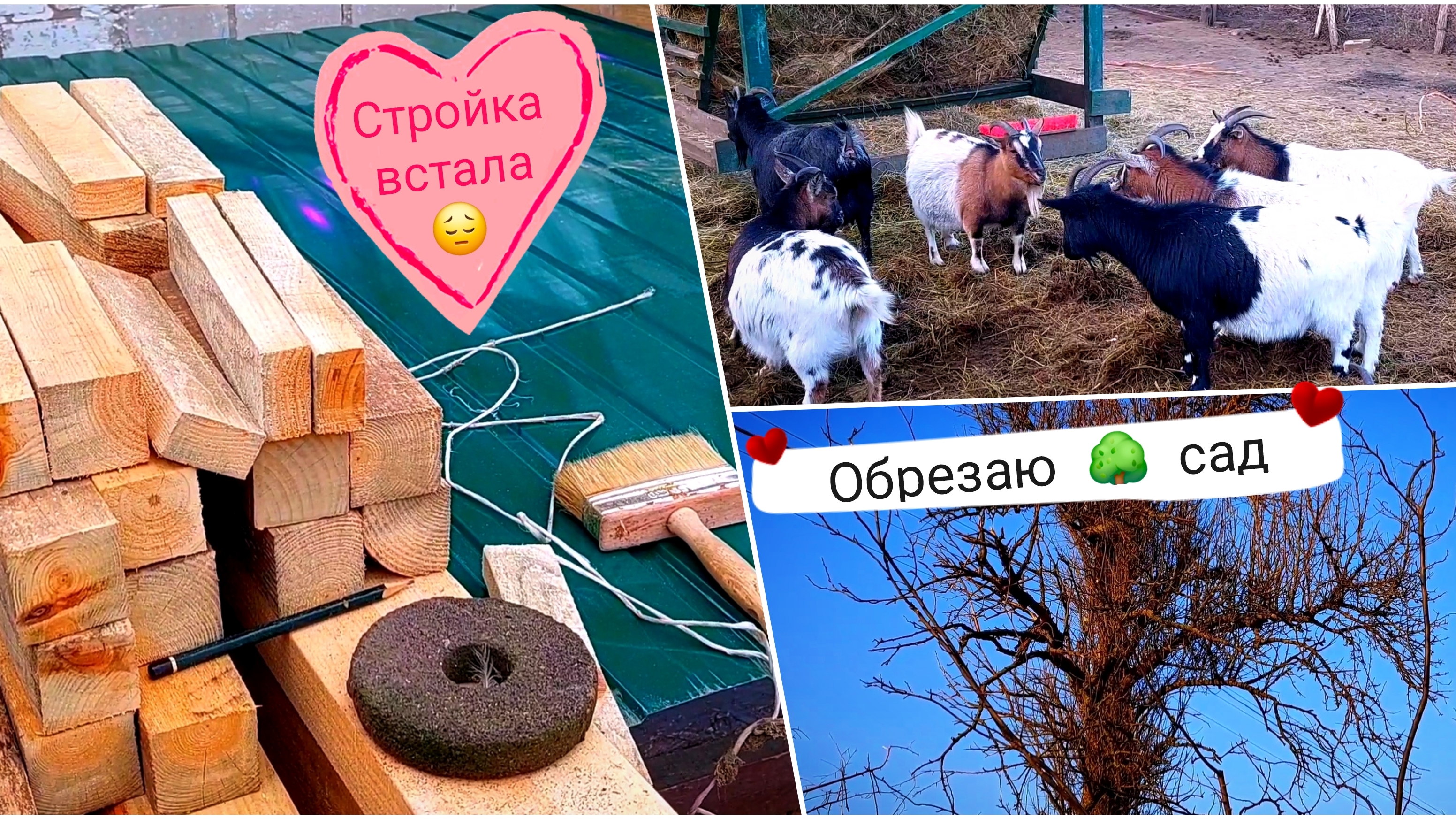 ОБРЕЗАЮ 🪚 СТАРЫЙ 🌳 САД. Деревенская 🛖 жизнь зимой.