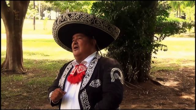 MARIACHI DIAMANTE CHINO MARTINEZ - LO PASADO PASADO  (COVER)  - Contactos 708 61383