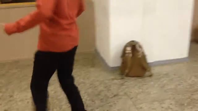 VLOG:Нашел удивительного человека!!!