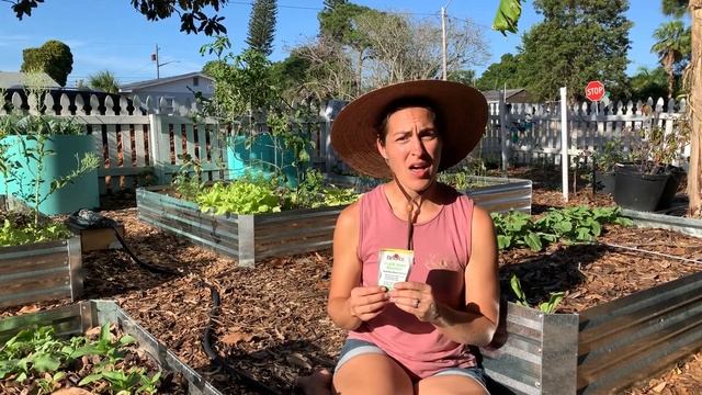 How To 10X Your Bean Harvest with 1 Simple Tip