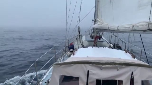Greenland 2022 Sailing North   SD 480p