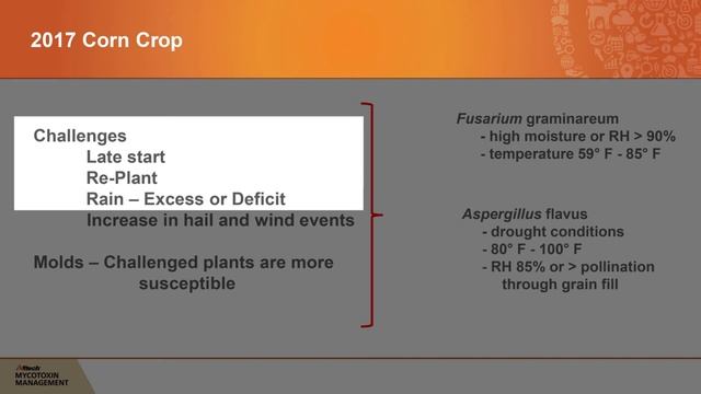 Monday Mycotoxin and Crop Report for July 31, 2017