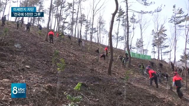 "공기청정 나무 5천 그루 심는다"