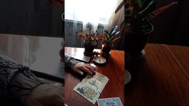 Таро.Ваша жизнь.