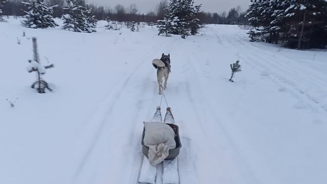 1000015569.mp4