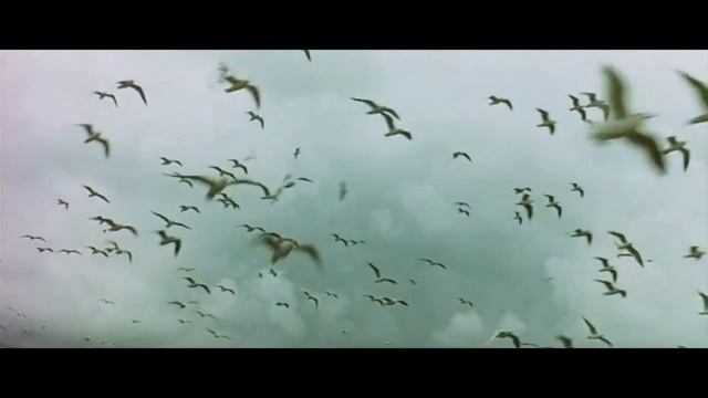 Маленький принц 2 v2  MP4